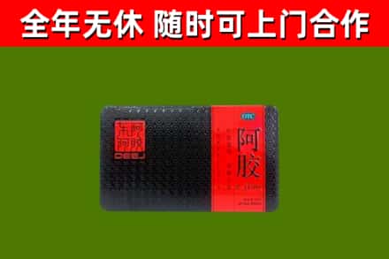 五河县回收阿胶