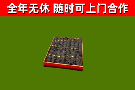 五河县回收海参
